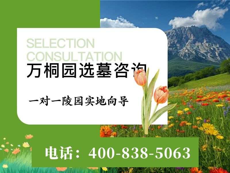 “万桐园公墓的花葬区四季真的都有花开吗？”